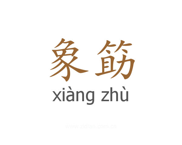 象筯