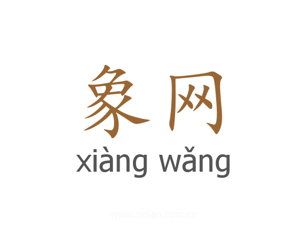 象网