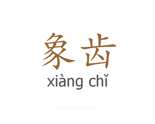 象齿