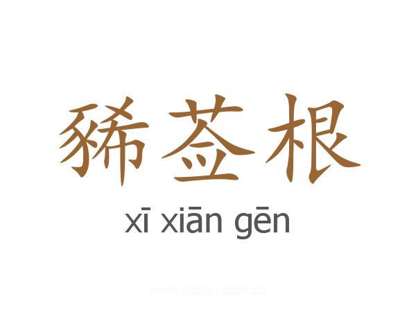 豨莶根