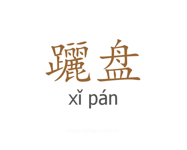 躧盘