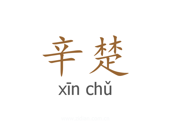 辛楚