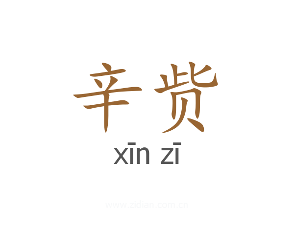 辛赀