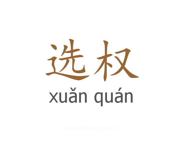 选权
