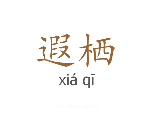 遐栖