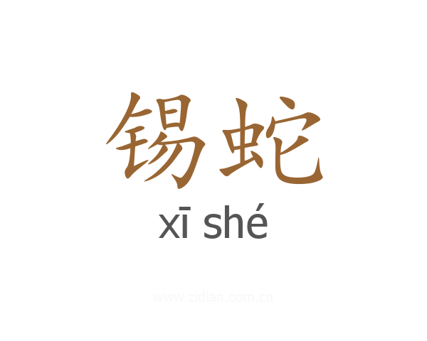 锡蛇