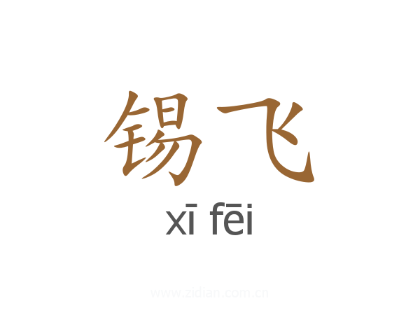 锡飞