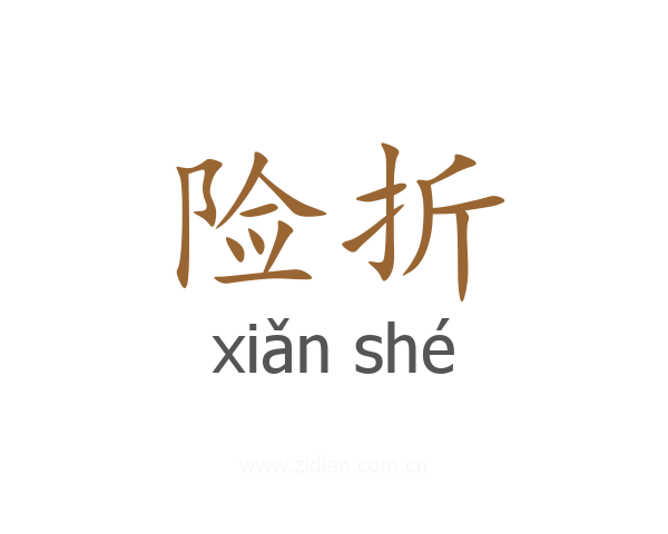 险折