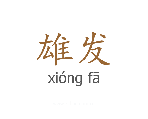 雄发