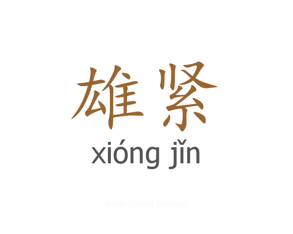雄紧