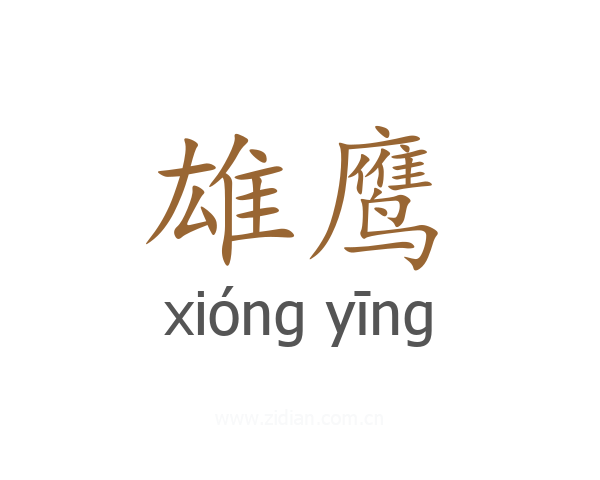 雄鹰