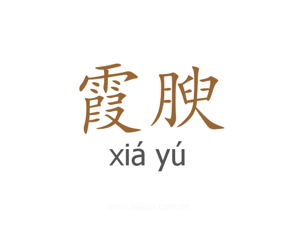 霞腴