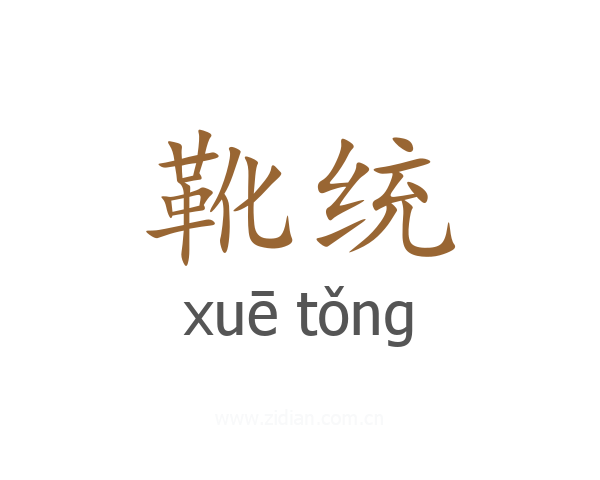 靴统