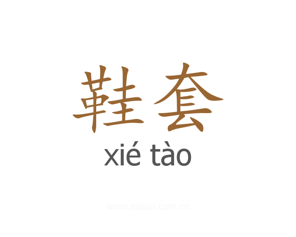 鞋套