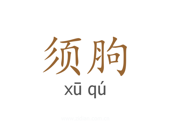 须胊