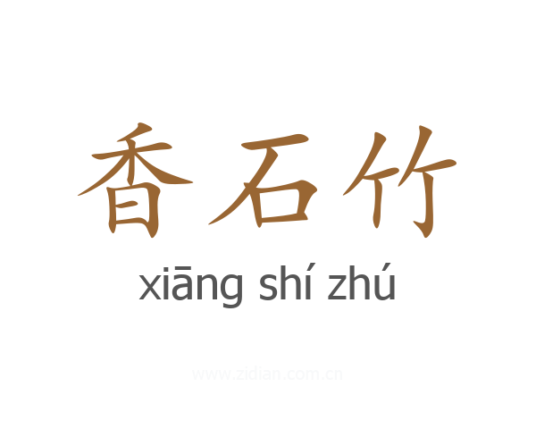 香石竹