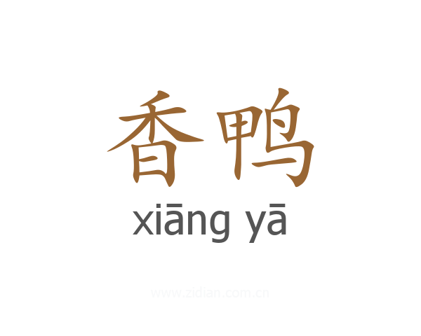 香鸭