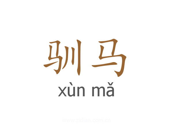 驯马