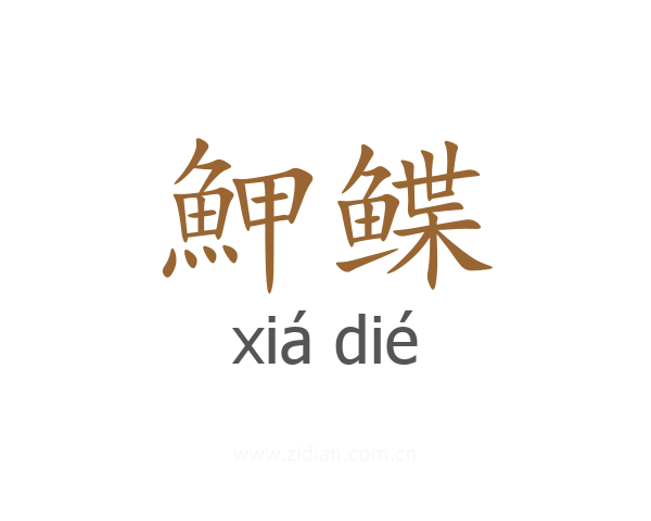 魻鲽