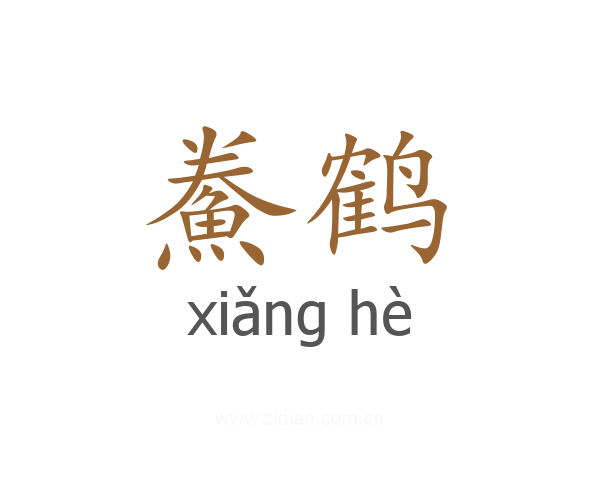 鮝鹤