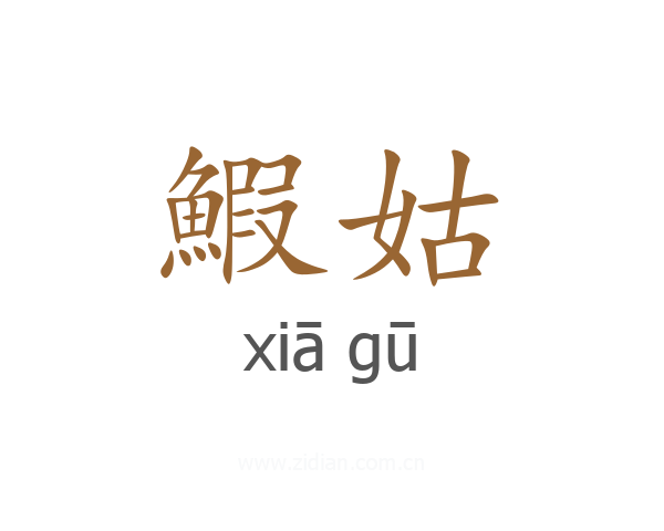 鰕姑