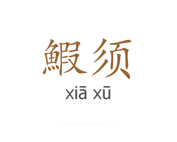 鰕须
