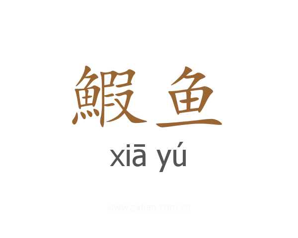 鰕鱼