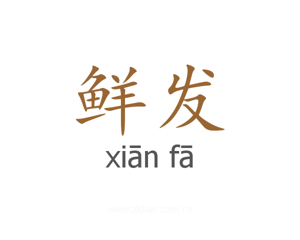 鲜发
