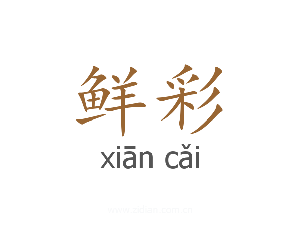 鲜彩