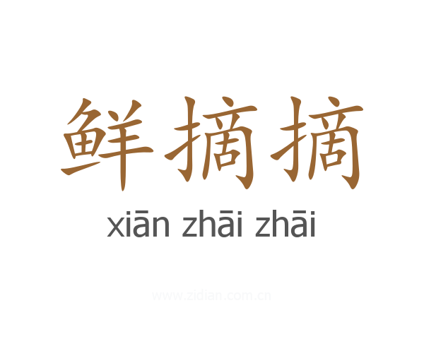 鲜摘摘