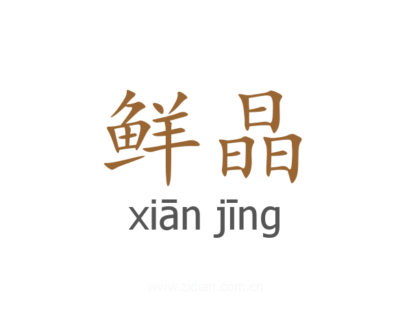 鲜晶