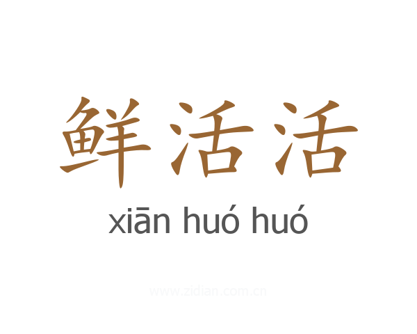 鲜活活