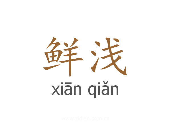 鲜浅
