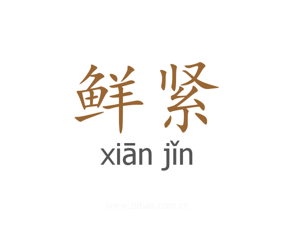 鲜紧