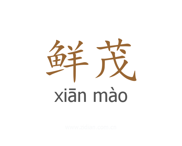 鲜茂