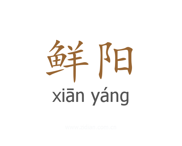 鲜阳