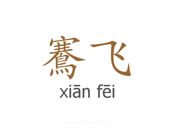鶱飞