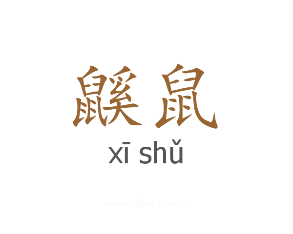 鼷鼠