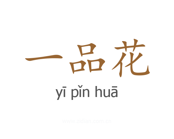 一品花