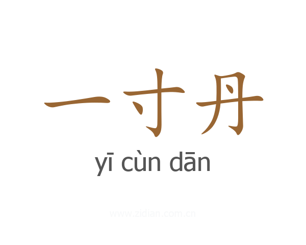 一寸丹