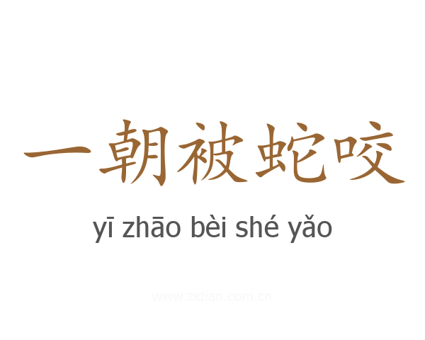 一朝被蛇咬