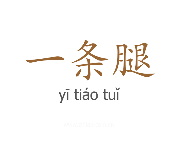 一条腿