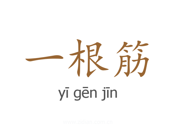 一根筋