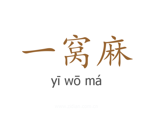 一窝麻