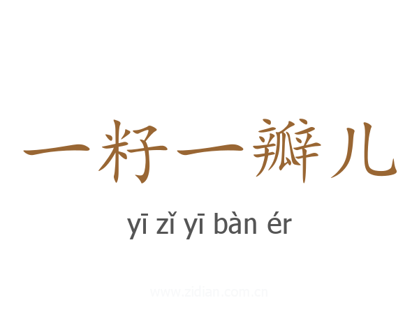 一籽一瓣儿