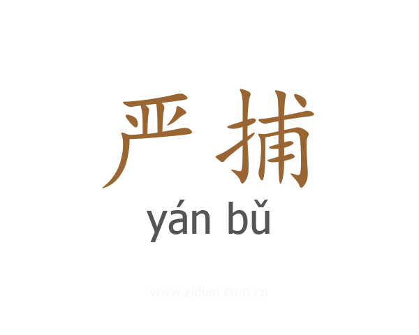 严捕