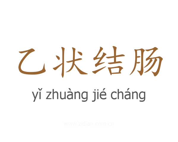 乙状结肠