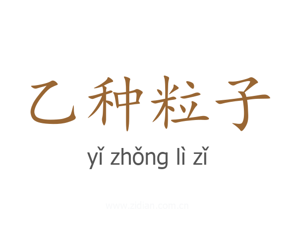 乙种粒子