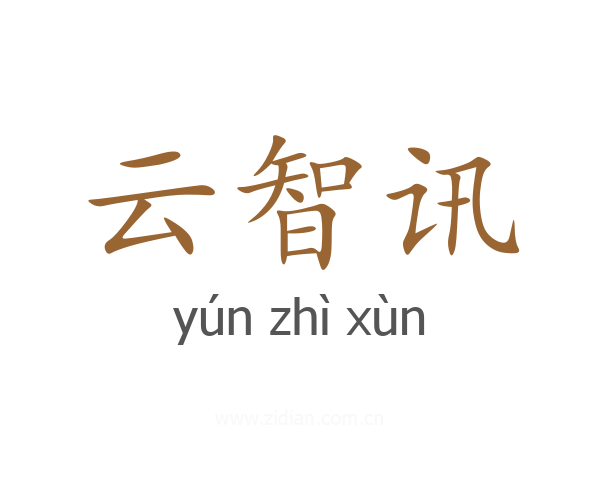 云智讯