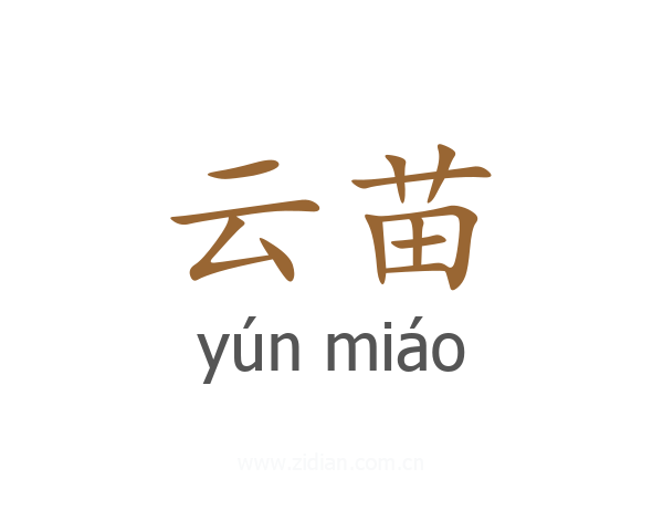 云苗